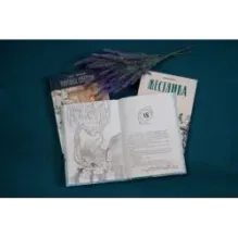 Ледяной сад