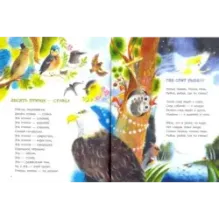 Ничья кошка