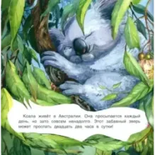 Кто как спит