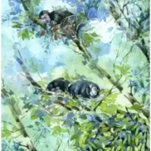 Кто как спит