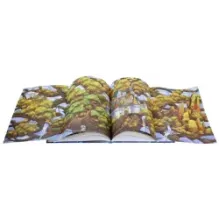 Сказки Лукоморья