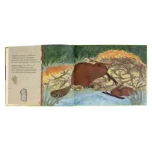 Кто живет в лесу. Прочитай и сосчитай