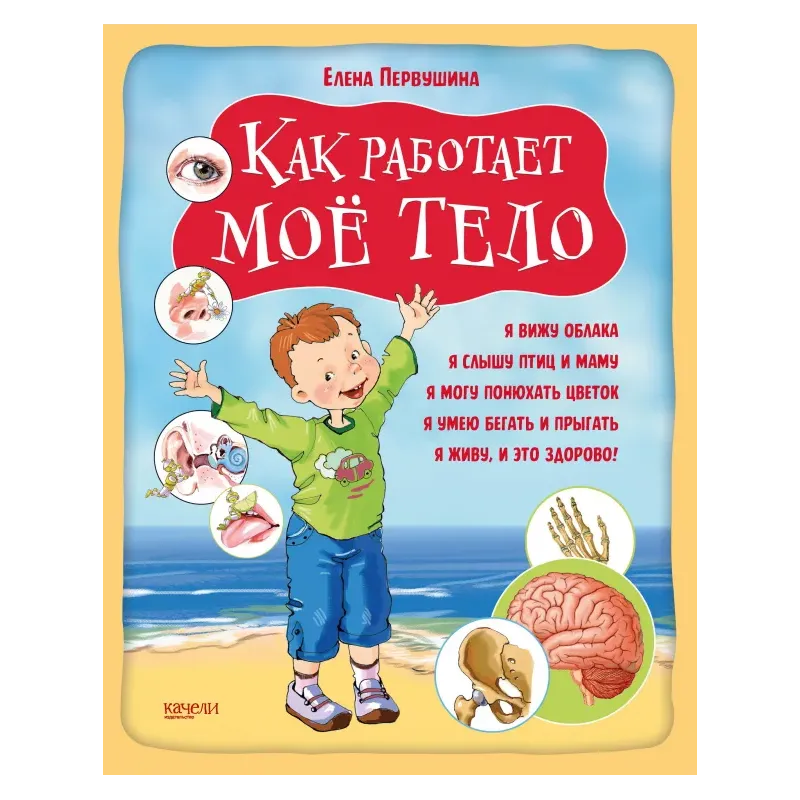 Как работает мое тело Как работает мое тело