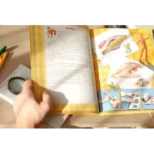 Как работает мое тело