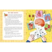 Как работает мое тело