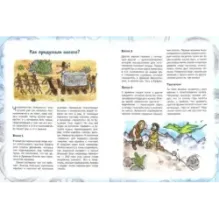 История колеса