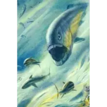 Во мгле времен. Динозавры и другие доисторические жители Земли