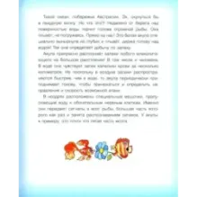 Где у птицы компас. Почемучкины вопросы