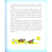 Где у птицы компас. Почемучкины вопросы