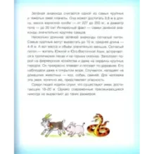 Где у птицы компас. Почемучкины вопросы