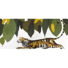 Как тигр Август потерял улыбку