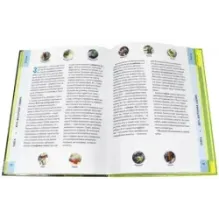 Лесные путешествия. От России до Америки