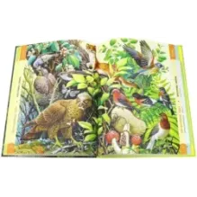 Лесные путешествия. От России до Америки