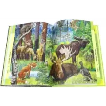 Лесные путешествия. От России до Америки