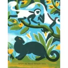 Черный и белый