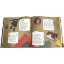 Вот иду я в шубе