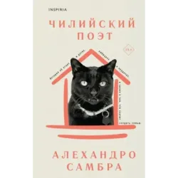 Чилийский поэт