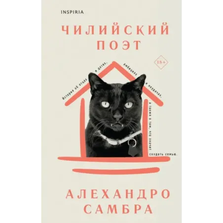 Чилийский поэт