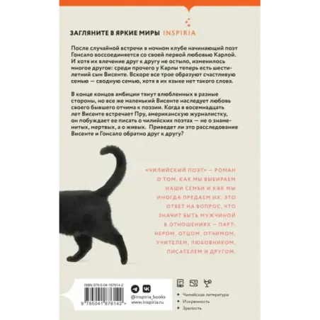 Чилийский поэт