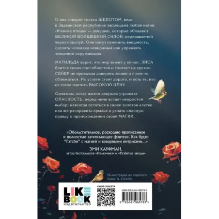 Ночные птицы