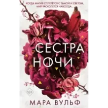 Сёстры-ведьмы. Сестра ночи (3)