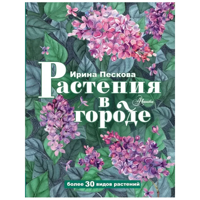 Растения в городе