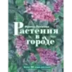 Растения в городе