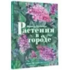 Растения в городе