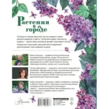 Растения в городе