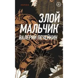 Злой мальчик