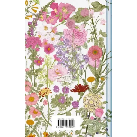 Аня и Долина Радуг