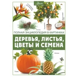 Деревья, листья, цветы и семена
