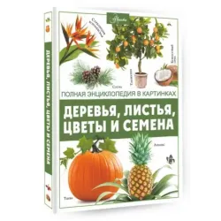 Деревья, листья, цветы и семена