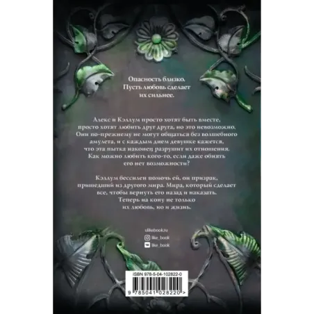 Отражение. Опасность близко