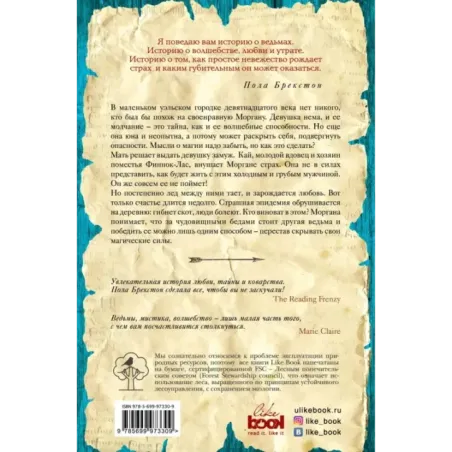 Зимняя ведьма