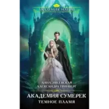 Академия сумерек. Темное пламя