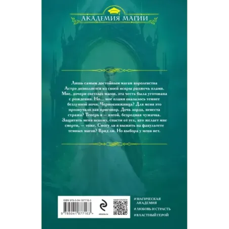 Академия сумерек. Темное пламя