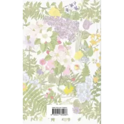 Аня из Зеленых Мезонинов