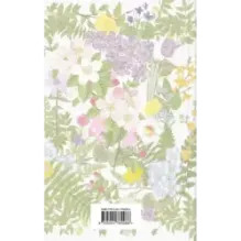 Аня из Зеленых Мезонинов