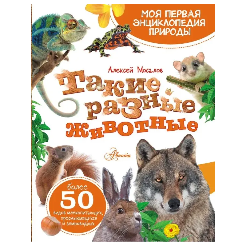 Такие разные животные Такие разные животные