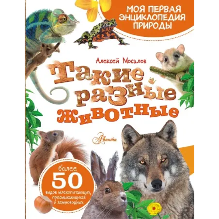 Такие разные животные