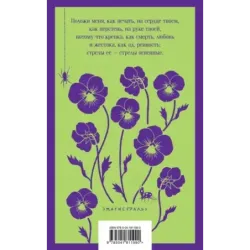 Ночная фиалка