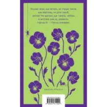 Ночная фиалка