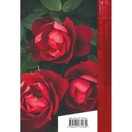 Ее глаза на звезды не похожи. Сонеты