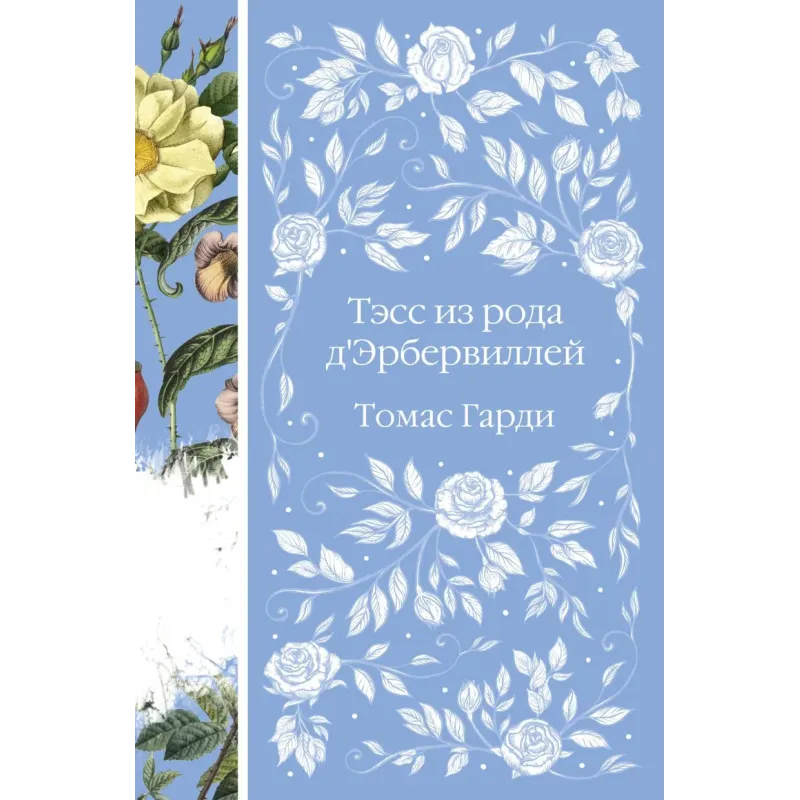 Тэсс из рода д'Эрбервиллей