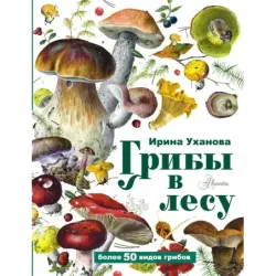 Грибы в лесу