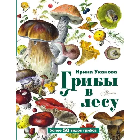 Грибы в лесу