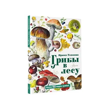 Грибы в лесу