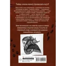 Школа №13. Тень из шкафа