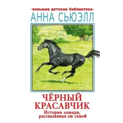 Черный красавчик